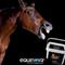 Show in main carousel: equinova Vitalysan Powder Horse Supplement, 6.6-lb bucket slide 4 of 5