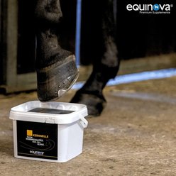 equinova Keranelle Liquid Horse Supplement, 33-fl oz bottle slide 2 of 3