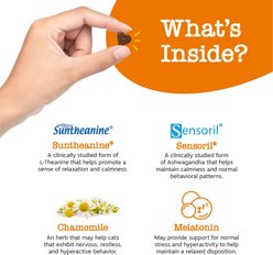 Zesty Paws Wild Alaskan Salmon Oil Formula Liquid Skin & Coat Supplement, 32-oz bottle + Calming Bites Bacon Flavored Soft Chews Supplement for Cats, 60 count slide 2 of 9