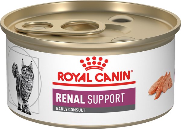 Royal fashion canin renal support cat food