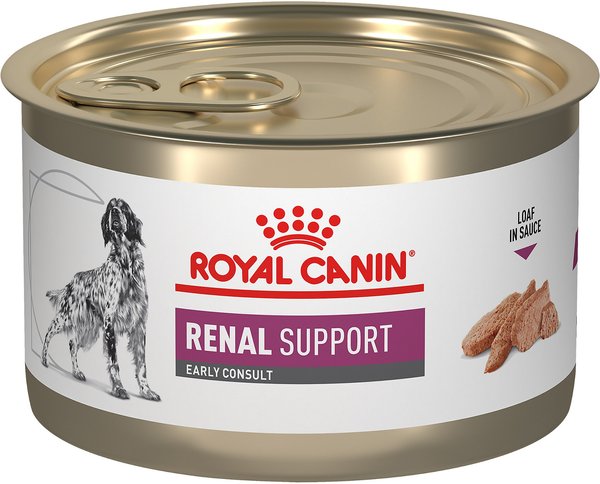 Royal canin senior canned dog fashion food