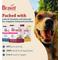 Show in main carousel: Bravo! Homestyle Complete Beef Dinner Grain-Free Freeze-Dried Dehydrated Dog Food, 6-lb bag slide 7 of 9
