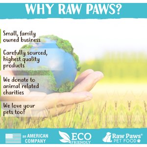 Raw Paws All-Natural Loose Leaf Cut Catnip for Cats, 1-oz jar