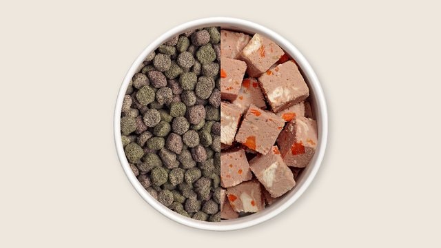 FRESHPET Complete Nutrition Chicken Recipe Fresh Dog Food, 1.5-lb roll ...