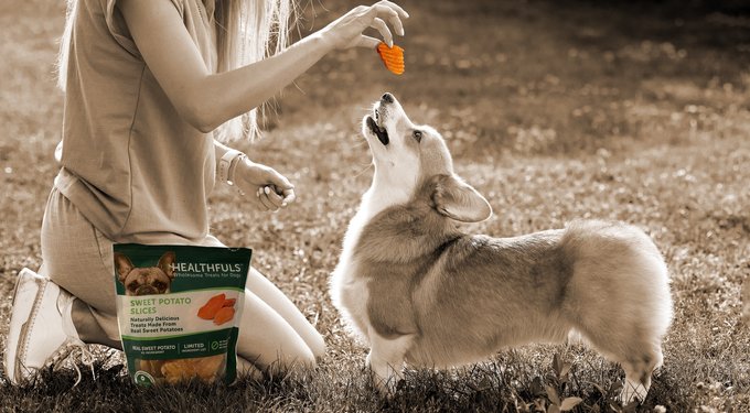 Healthfuls Sweet Potato & Chicken Wraps Dehydrated Dog Treats