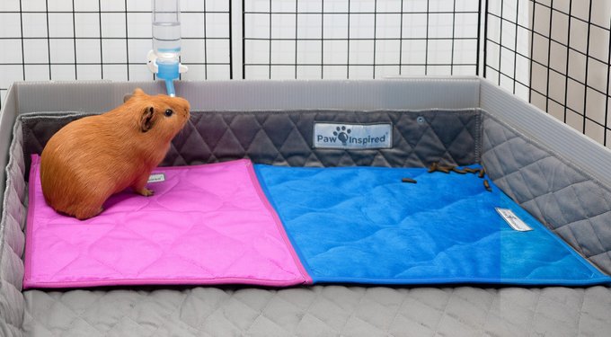 Paw Inspired Fleece Cage Liner Small Pet Pee Pads & Bedding, 12x12-in, 3 count