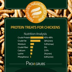 PROILGRUBS All Natural Dried Black Soldier Fly Larvae Protein Treat for Chickens, 11-lb-bag slide 2 of 7