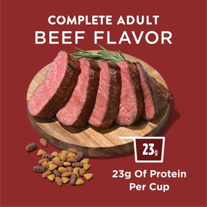 Dog Chow Complete Adult with Beef Flavor Dry Dog Food, 40-lb bag