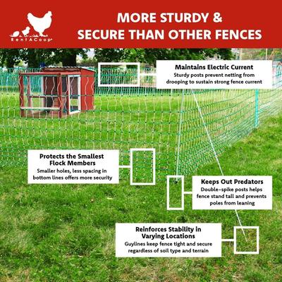 Show full view: RentACoop Electric Netting Poultry Fence, 168-ft x 48-in roll slide 2 of 8