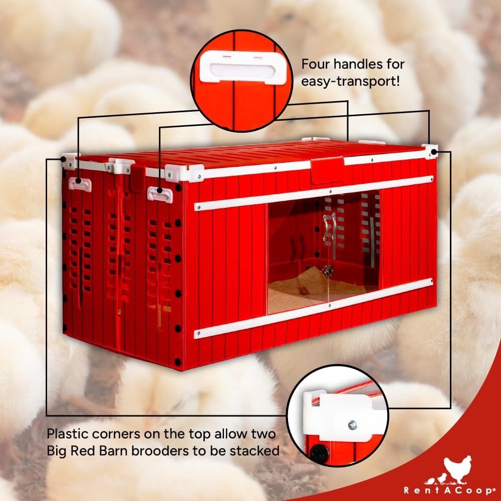 RentACoop Big Red Barn Chick Brooder, Large