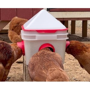 RentACoop Chick2Chicken 4-Port Feeder, 10-lb