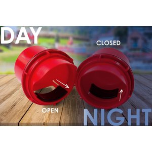 RentACoop Chick2Chicken 4-Port Feeder, 10-lb