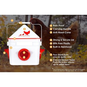RentACoop Chick2Chicken 4-Port Feeder, 10-lb