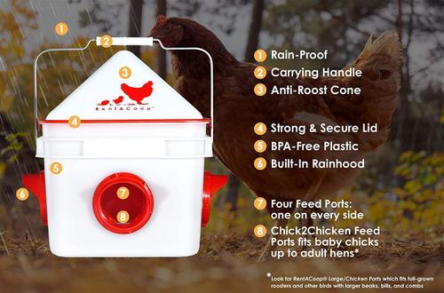 Show full view: RentACoop Chick2Chicken BPA-Free 4-Port Feeder, 10-lb slide 2 of 7