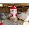 Show in main carousel: RentACoop Chick2Chicken Feeder, 5-lb slide 6 of 7