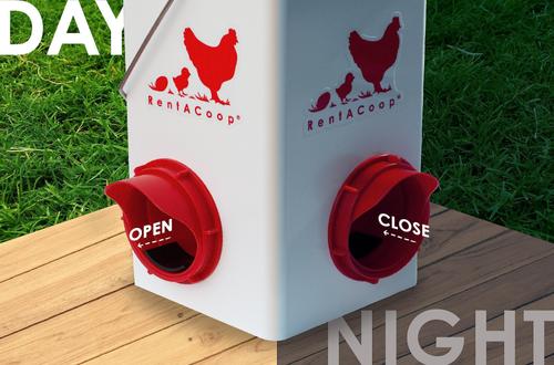 Show full view: RentACoop Chick2Chicken Feeder, 5-lb slide 5 of 7