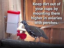 RentACoop Wire Bracket with Bottom for Chicken Drinking Bottle, 32-oz slide 2 of 5