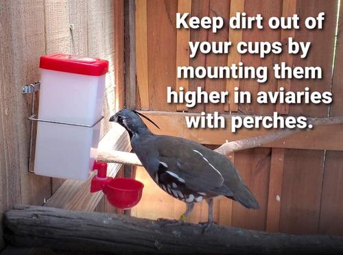 Show full view: RentACoop Wire Bracket with Bottom for Chicken Drinking Bottle, 32-oz slide 5 of 5