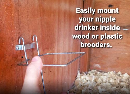 Show full view: RentACoop Wire Bracket with Bottom for Chicken Drinking Bottle, 32-oz slide 4 of 5