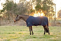 TuffRider Waffle Weave Standard Neck Horse Cooler Sheet, Navy, 81-in