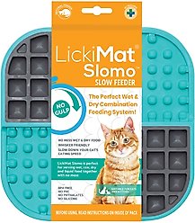 LickiMat Slomo Non-Skid Thermoplastic Rubber Cat Bowl, Turquoise, Standard