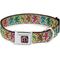 Show in main carousel: Buckle-Down Grateful Dead Dancing Bears Swirl Metal Seatbelt Buckle Polyster Dog Collar, Multicolor, Medium: 11 to 16.5-in neck, 1-in wide slide 1 of 10