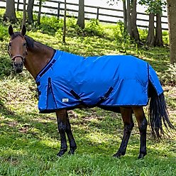 TuffRider 1200D Comfy Fit Standard Neck Heavy Weight Horse Turnout Blanket, Royal, 75-in