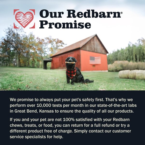 Redbarn Holiday Beef Collagen Candy Cane Dog Chew Treat