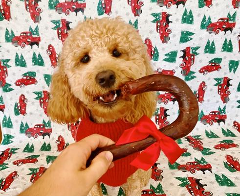 Show full view: Redbarn Holiday Fetchers Candy Cane Dog Treat slide 3 of 9