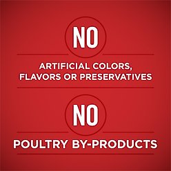 Purina ONE SmartBlend Tender Cuts in Gravy Variety Pack Wet Dog Food, 13-oz can, case of 12 slide 2 of 9