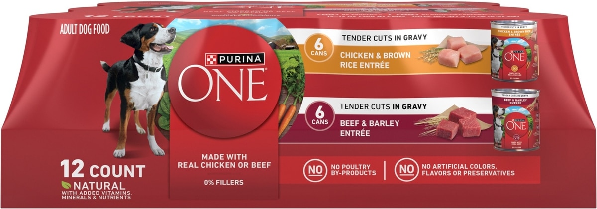 PURINA ONE SmartBlend Tender Cuts in Gravy Variety Pack Wet Dog