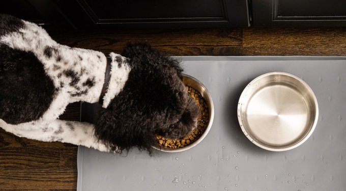 Leash Boss Splash Tall Lip Dog Food Mat
