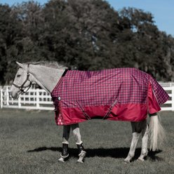 Equinavia Arktis Regular Neck Lightweight 100-g Horse Turnout Blanket, Cranberry Red, 72-in
