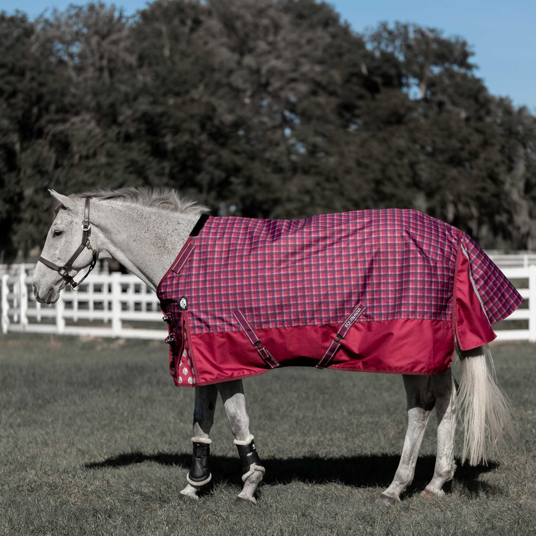 Equinavia Arktis Regular Neck Heavyweight 300-g Horse Turnout Blanket, Cranberry Red, 72-in