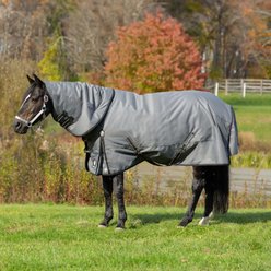Equinavia Arktis Regular Neck Lightweight 100-g Horse Turnout Blanket, Carbon Grey, 69-in
