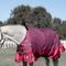 Show in main carousel: Equinavia Arktis Regular Neck Heavyweight 300-g Horse Turnout Blanket, Cranberry Red, 69-in slide 2 of 7
