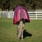 Show in main carousel: Equinavia Arktis Regular Neck Heavyweight 300-g Horse Turnout Blanket, Cranberry Red, 69-in slide 4 of 7