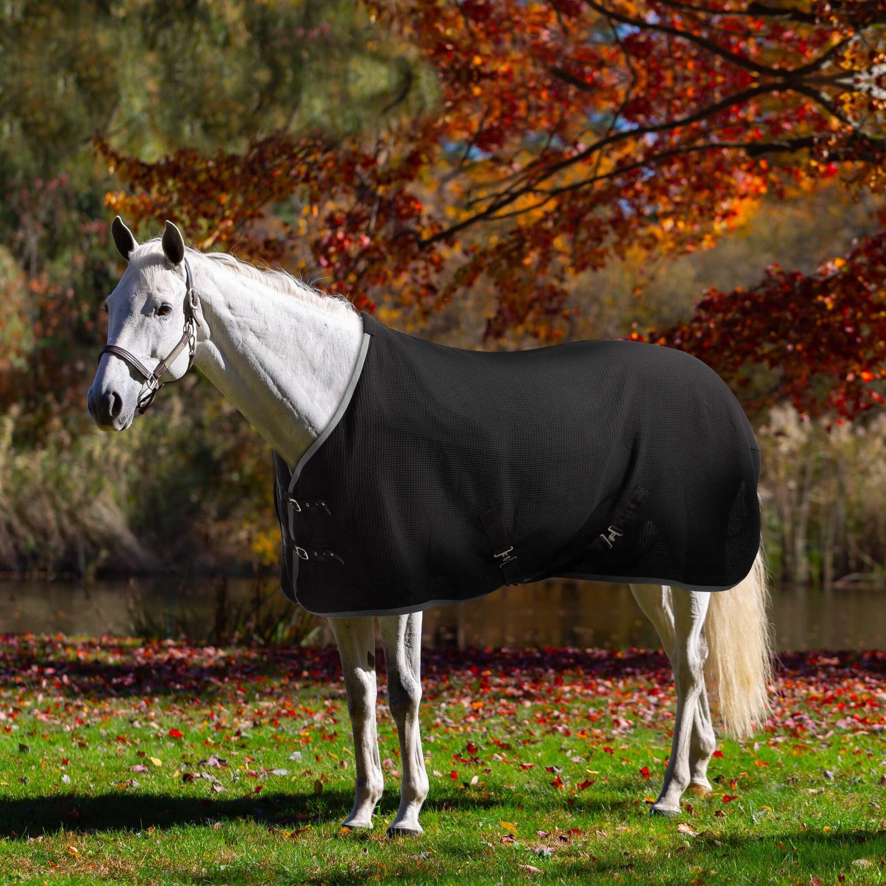 Equinavia Luftig Waffle Horse Cooler, Black, 76-in