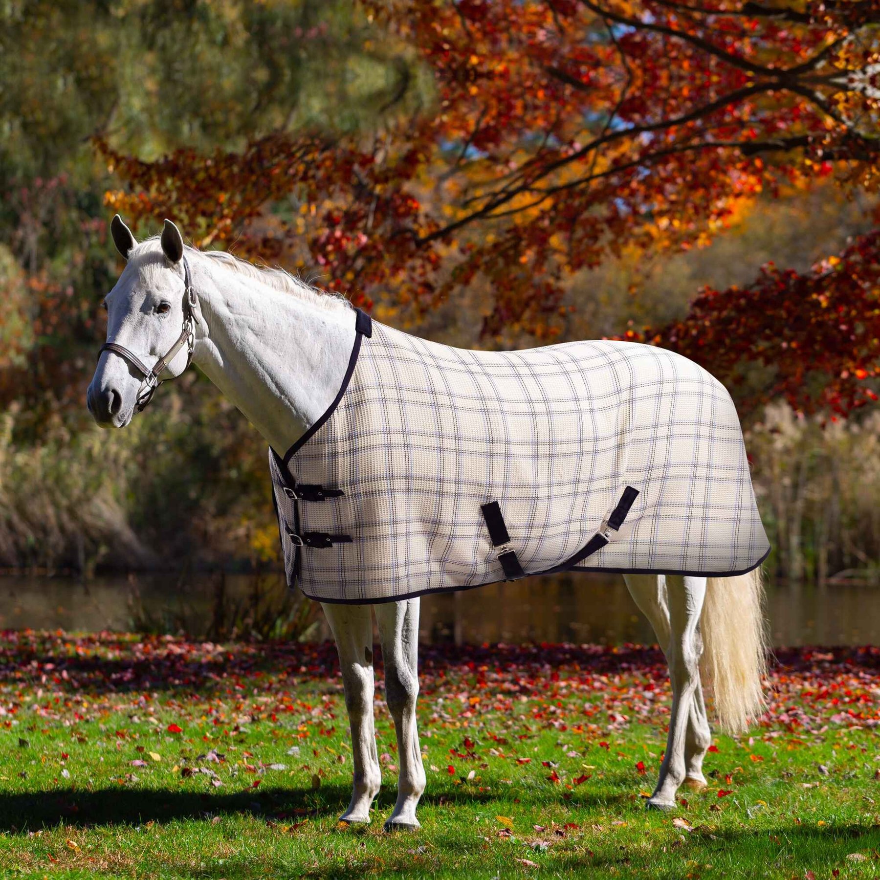 Equinavia Luftig Waffle Horse Cooler, Natural/Blue, 82-in