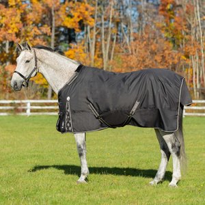 Equinavia Norse Midweight 200-g Horse Turnout Blanket, Black, 75-in