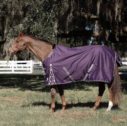 Equinavia Norse Heavyweight 300-g Horse Turnout Blanket, Grape Purple, 84-in