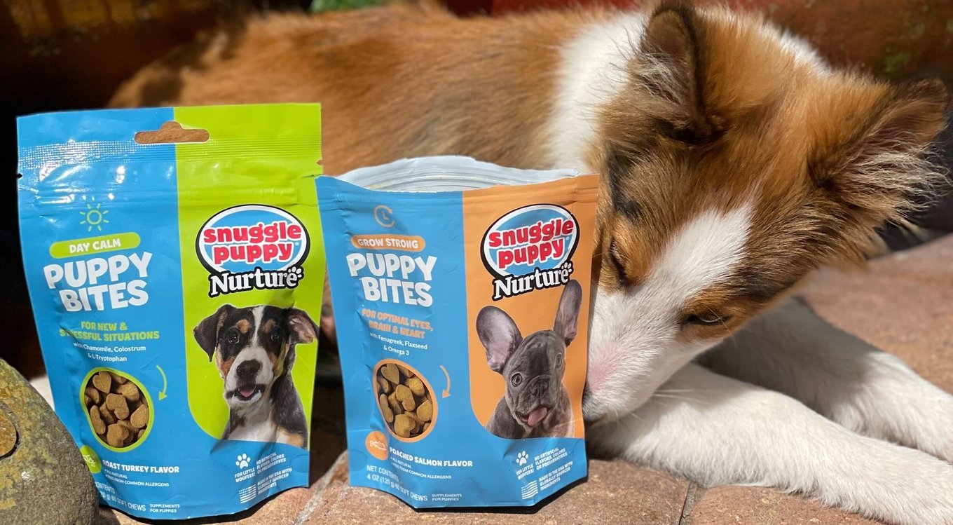 Snuggle Puppy Bites Day Calm Supplement Turkey Flavored Soft Chews