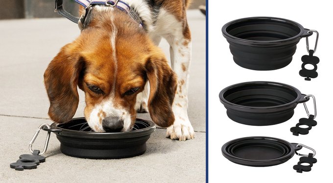 食器・餌やり・水やり用品 NEIGHBORHOOD Foldable Dog Bowl Black BONZA Collapsible Silicone Dog Bowl, Black, Small, 1 count