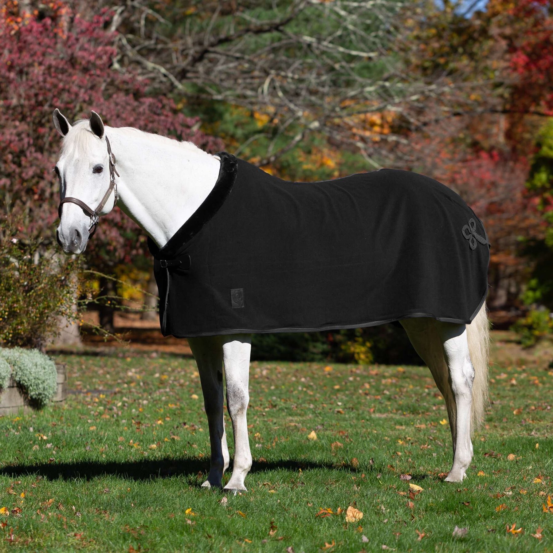 Equinavia Koselig Fleece Horse Cooler, Black, 82-in