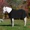 Show in main carousel: Equinavia Koselig Fleece Horse Cooler, Black, 72-in slide 1 of 1