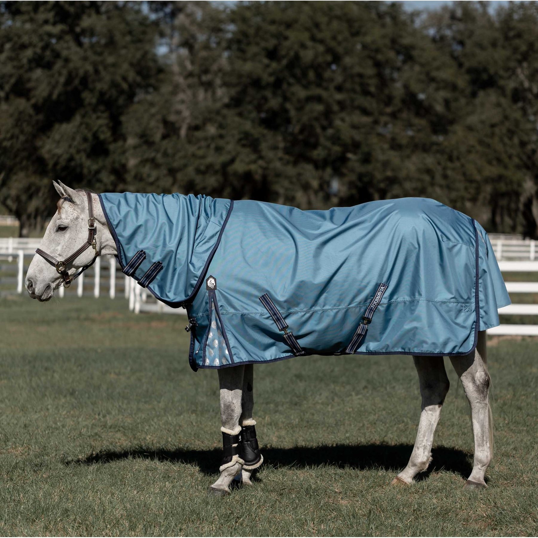 Equinavia Thunder 360 Detachable Neck Lightweight 100-g Horse Turnout Blanket, Bluestone Blue, 69-in