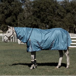 Equinavia Thunder 360 Detachable Neck Midweight 200-g Horse Turnout Blanket, Bluestone Blue, 84-in