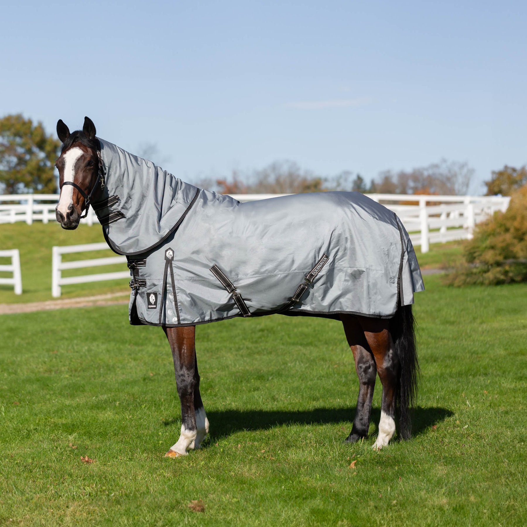 Equinavia Thunder 360 Detachable Neck Horse Turnout Sheet, Pewter Gray, 72-in