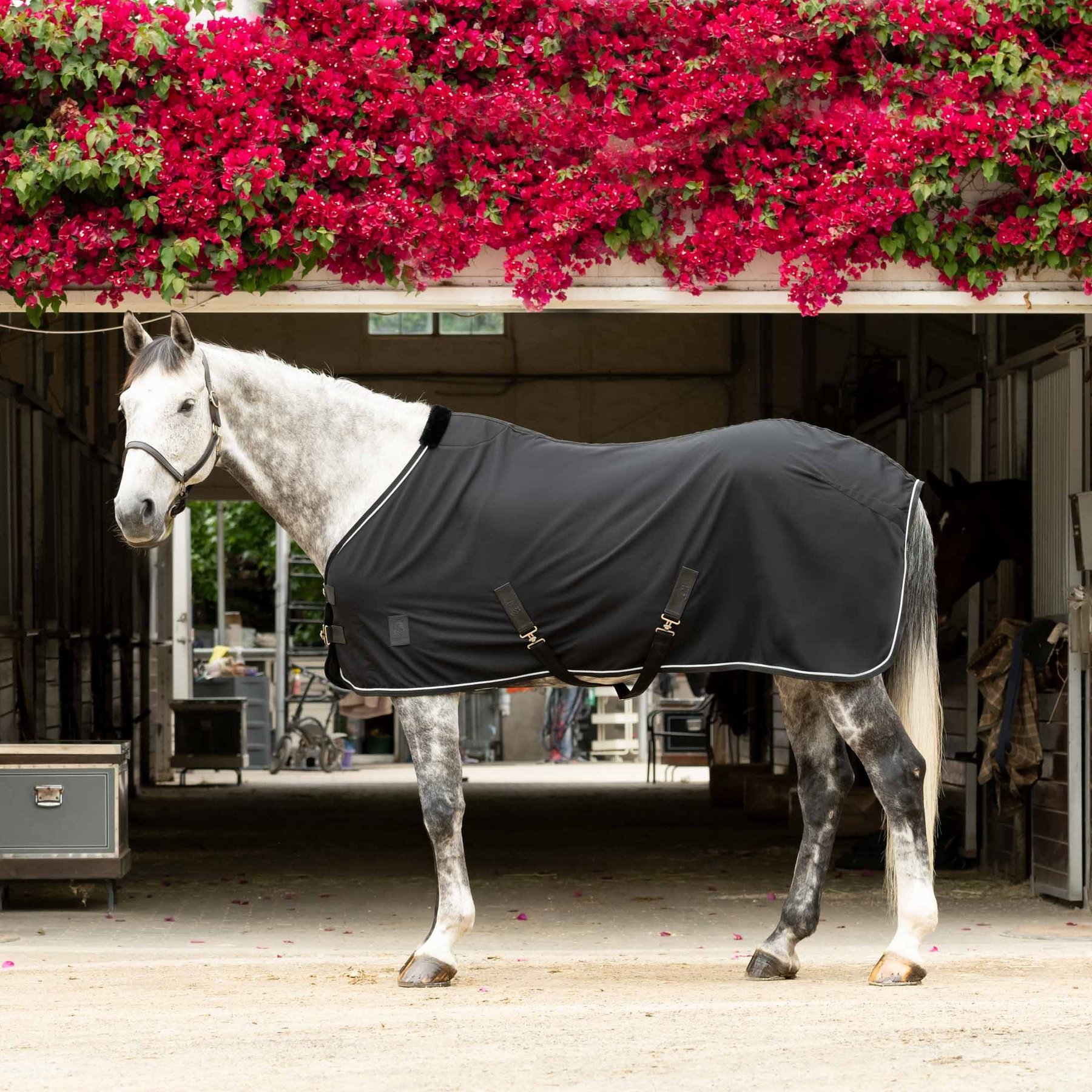 Equinavia Vind Horse Stable Sheet, Black, 84-in
