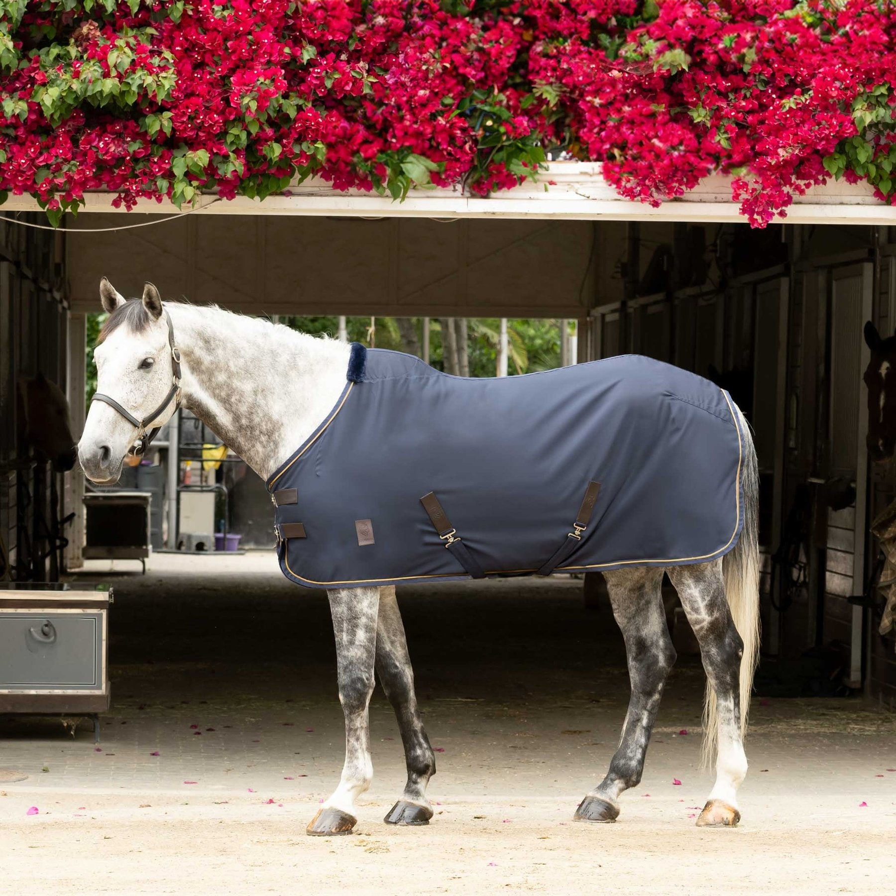 Equinavia Vind Horse Stable Sheet, Navy, 82-in